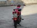 Moto Guzzi Airone B47 Rosso - thumbnail 2
