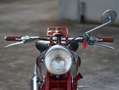 Moto Guzzi Airone B47 Rosso - thumbnail 7