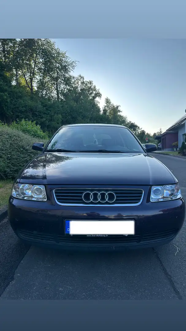 Audi A3 1.6 Ambiente - 2