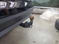 Skoda Kamiq Style 1.5 TSI Pano*AHK*PDC*Tempo*Klima*SH Чорний - thumbnail 26