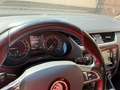 Skoda Octavia Octavia 4x4 Scout Grigio - thumbnail 6