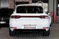 Porsche Macan Turbo|SPORTABGAS|BOSE|MEMORY|AHK|STDHZ Alb - thumbnail 9