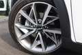 Kia Niro 1.6 GDi Hybrid ExecutiveLine Pano Memory JBL ACC S - thumbnail 27