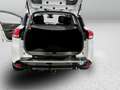 Renault Clio Sporter 1.5 dci Costume National 90cv Bianco - thumbnail 20