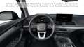 Audi Q5 50 TFSI e quattro 220(299) kW(PS Grau - thumbnail 15
