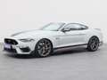 Ford Mustang Customized Mach1 750PS Grigio - thumbnail 15