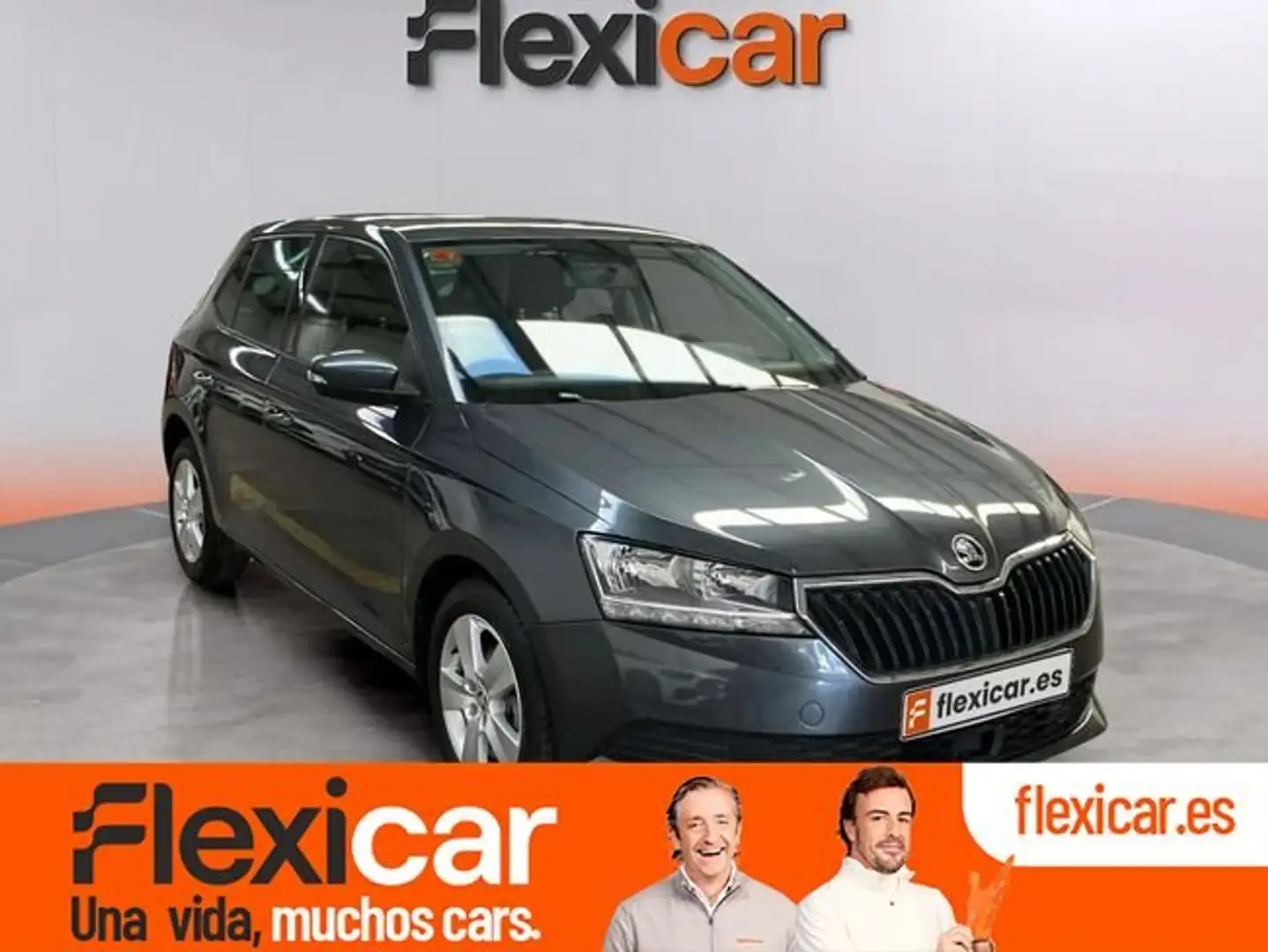 Skoda Fabia 1.0 TSI Ambition 70kW Gris - 1