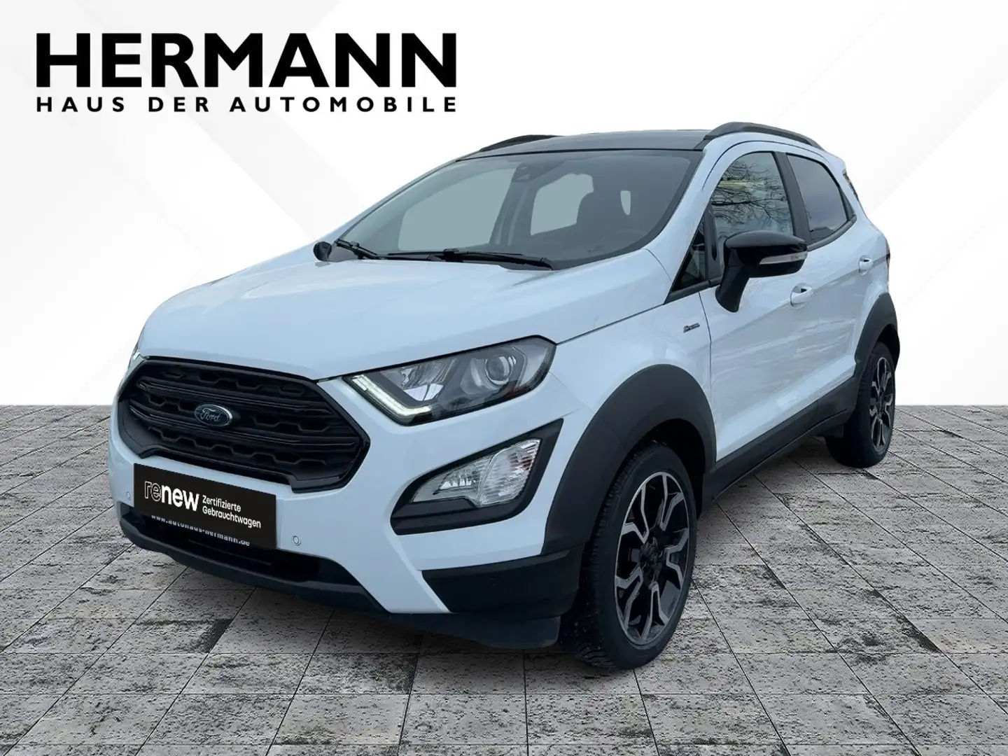 Ford EcoSport 1.0 EcoBoost Active *LED*NAVI*Sitzhzg* Blanc - 1