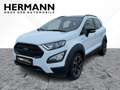 Ford EcoSport 1.0 EcoBoost Active *LED*NAVI*Sitzhzg* Alb - thumbnail 1