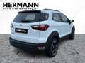 Ford EcoSport 1.0 EcoBoost Active *LED*NAVI*Sitzhzg* Alb - thumbnail 4