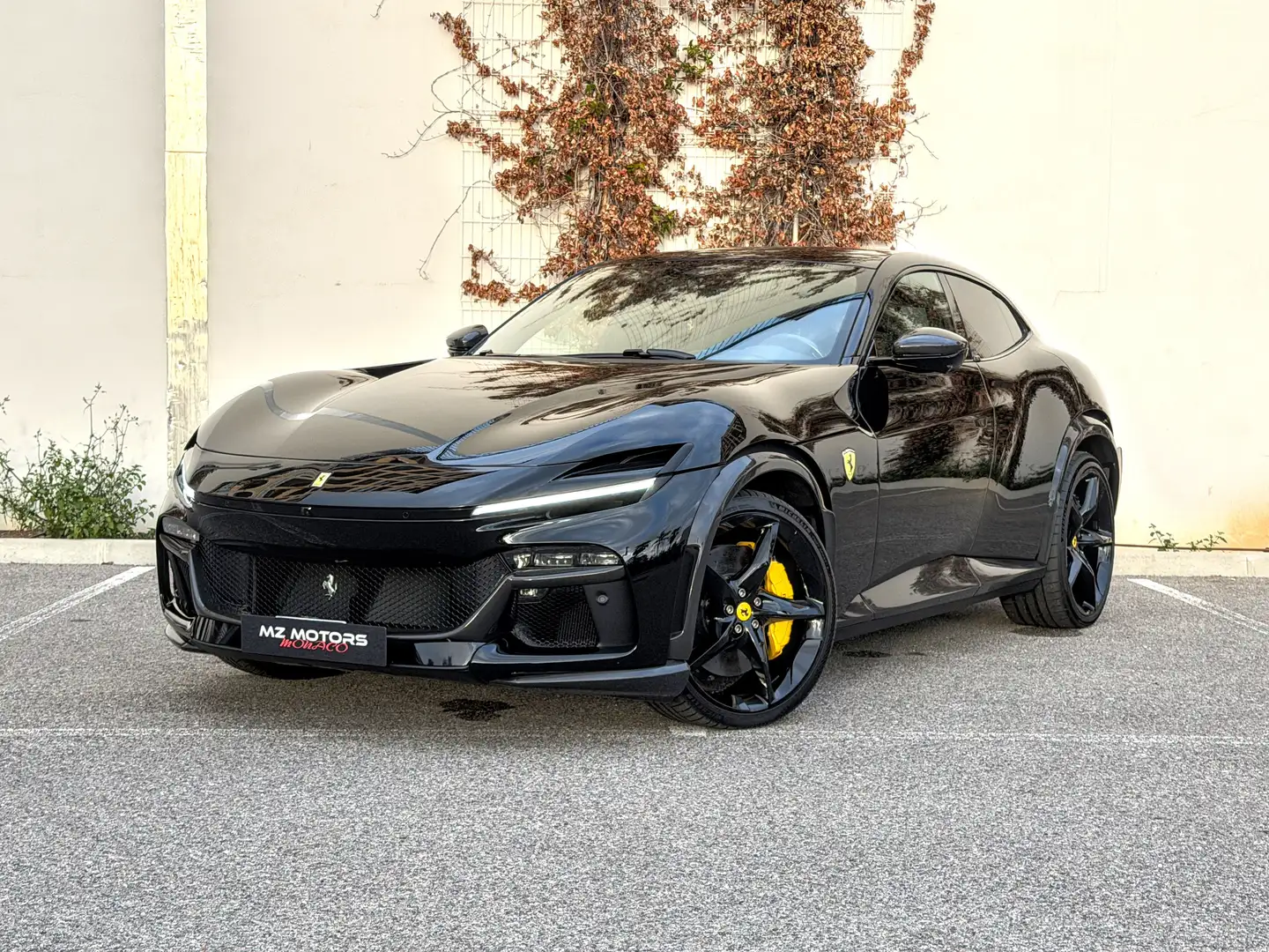 ferrari purosangue