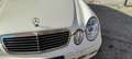 Mercedes-Benz 220 classic Bianco - thumbnail 2