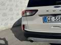 Ford Kuga 1.5 BlueHdi 120cv Titanium Poweshift Aut. Navi Cam Bianco - thumbnail 8