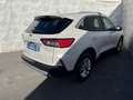 Ford Kuga 1.5 BlueHdi 120cv Titanium Poweshift Aut. Navi Cam Bianco - thumbnail 5