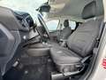 Ford Kuga 1.5 BlueHdi 120cv Titanium Poweshift Aut. Navi Cam Bianco - thumbnail 10
