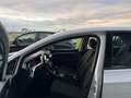 Volkswagen Golf 1.0 TSI EVO Life ANCHE NEOPATENTATI Blanc - thumbnail 10