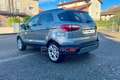 Ford EcoSport 1.0 EcoBoost 125 CV Start&Stop Titanium Argento - thumbnail 7