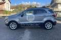 Ford EcoSport 1.0 EcoBoost 125 CV Start&Stop Titanium Argento - thumbnail 8