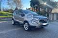 Ford EcoSport 1.0 EcoBoost 125 CV Start&Stop Titanium Argento - thumbnail 3