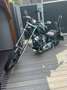 Big Dog K-9 Negru - thumbnail 10