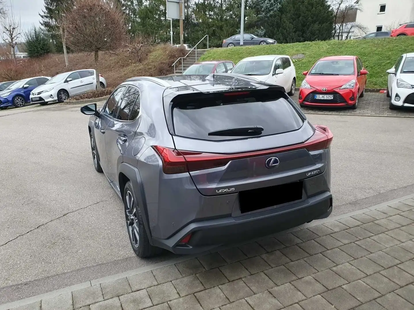 Lexus UX 250h Style Edition Grau - 2