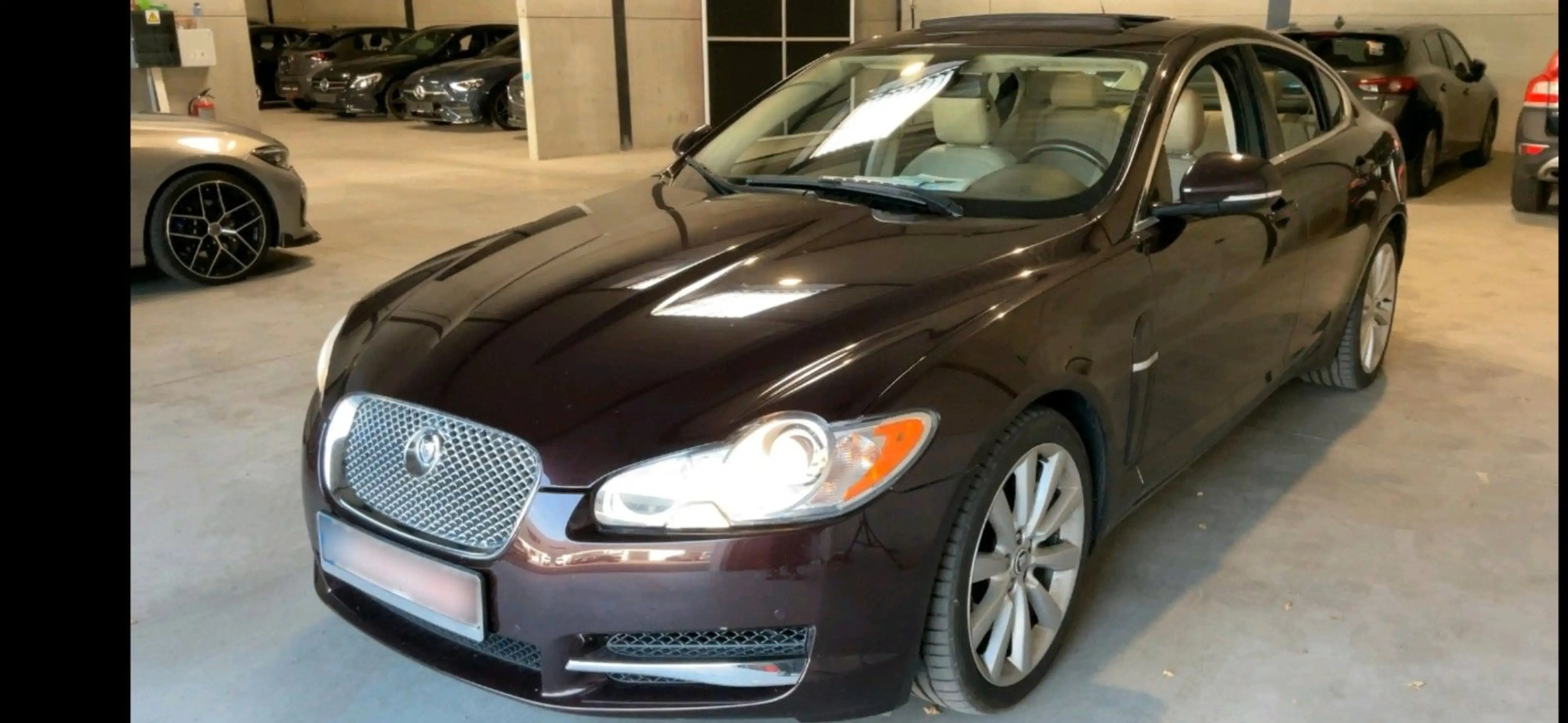 Jaguar XF 3.0 V6 Diesel Portfolio,Lder,2-Hand,Klima,Sch