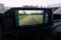 Ford Transit Custom 320L 136PK Limited MY2024 13" Sync 4 Apple CP, Cam Wit - thumbnail 13