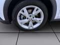 Skoda Octavia Combi 2.0 TDI DSG 4x4 SCOUT STANDHZG MATRIX PDC Weiß - thumbnail 8