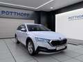 Skoda Octavia Combi 2.0 TDI DSG 4x4 SCOUT STANDHZG MATRIX PDC Weiß - thumbnail 6