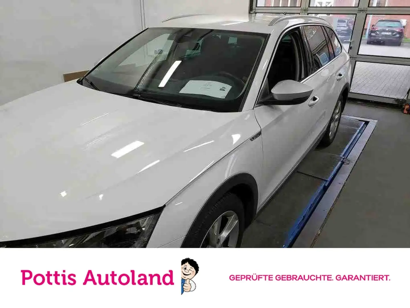 Skoda Octavia Combi 2.0 TDI DSG 4x4 SCOUT STANDHZG MATRIX PDC Weiß - 1