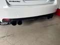 Subaru Impreza 2.5 WRX STi MOTORE RIFATTO Blanc - thumbnail 6