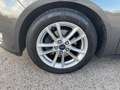 Ford Focus Focus SW 1.5 tdci Business N1 Grigio - thumbnail 13
