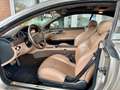 Mercedes-Benz CL 65 AMG 40 Jahre AMG / 1 out of 40 Grau - thumbnail 10