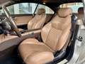 Mercedes-Benz CL 65 AMG 40 Jahre AMG / 1 out of 40 Grau - thumbnail 11