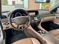 Mercedes-Benz CL 65 AMG 40 Jahre AMG / 1 out of 40 Grau - thumbnail 14
