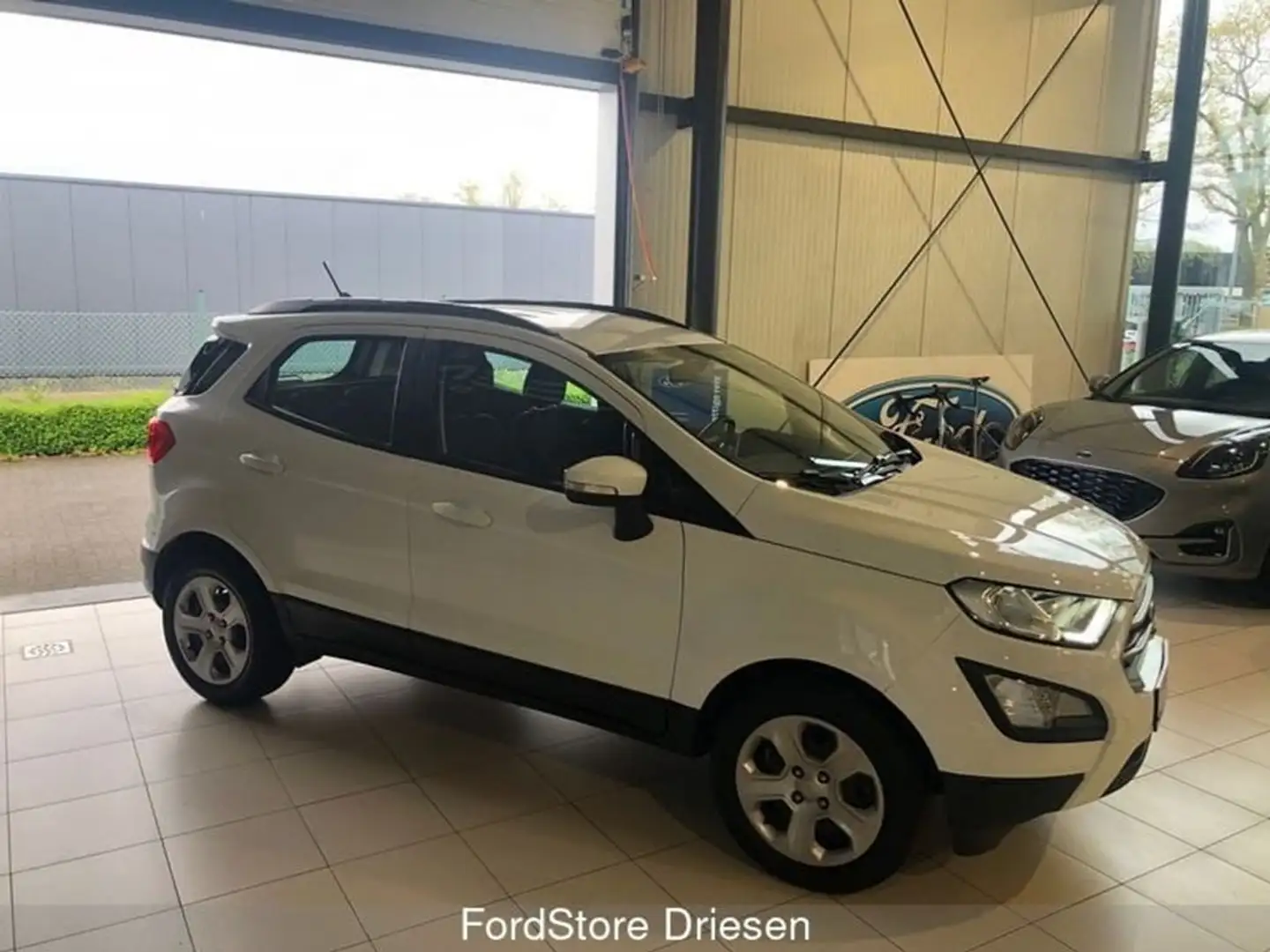 Ford EcoSport Business Class 1.0i 100 pk BIJ DRIESEN IN BREE Blanc - 1