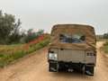 Land Rover Series Serie2 88 Beige - thumbnail 3