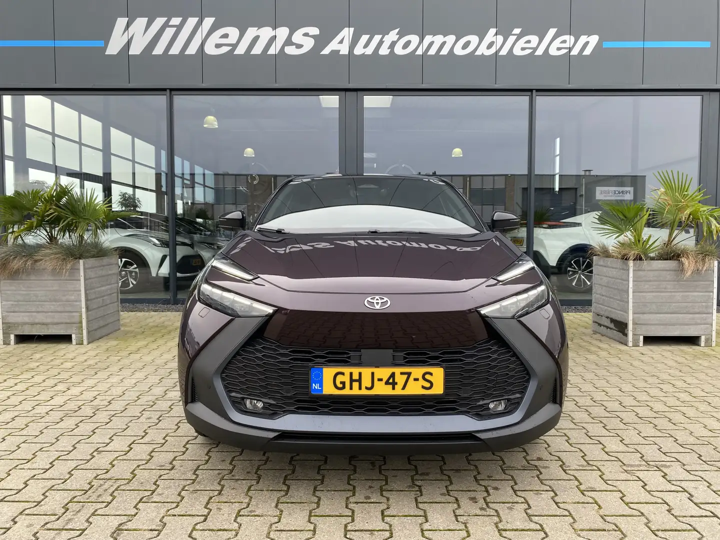 Toyota C-HR 1.8 Hybrid 140 First Edition Groot Navigatie, Adap Paars - 2