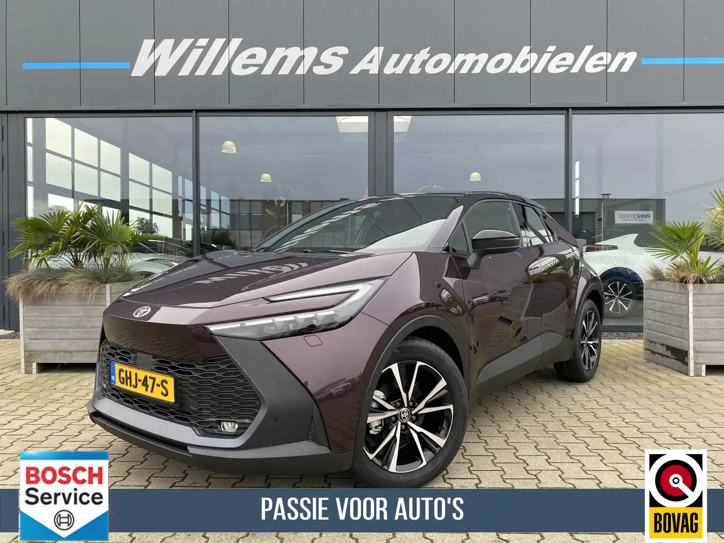 Toyota C-HR 1.8 Hybrid 140 First Edition Groot Navigatie, Adap Paars - 1