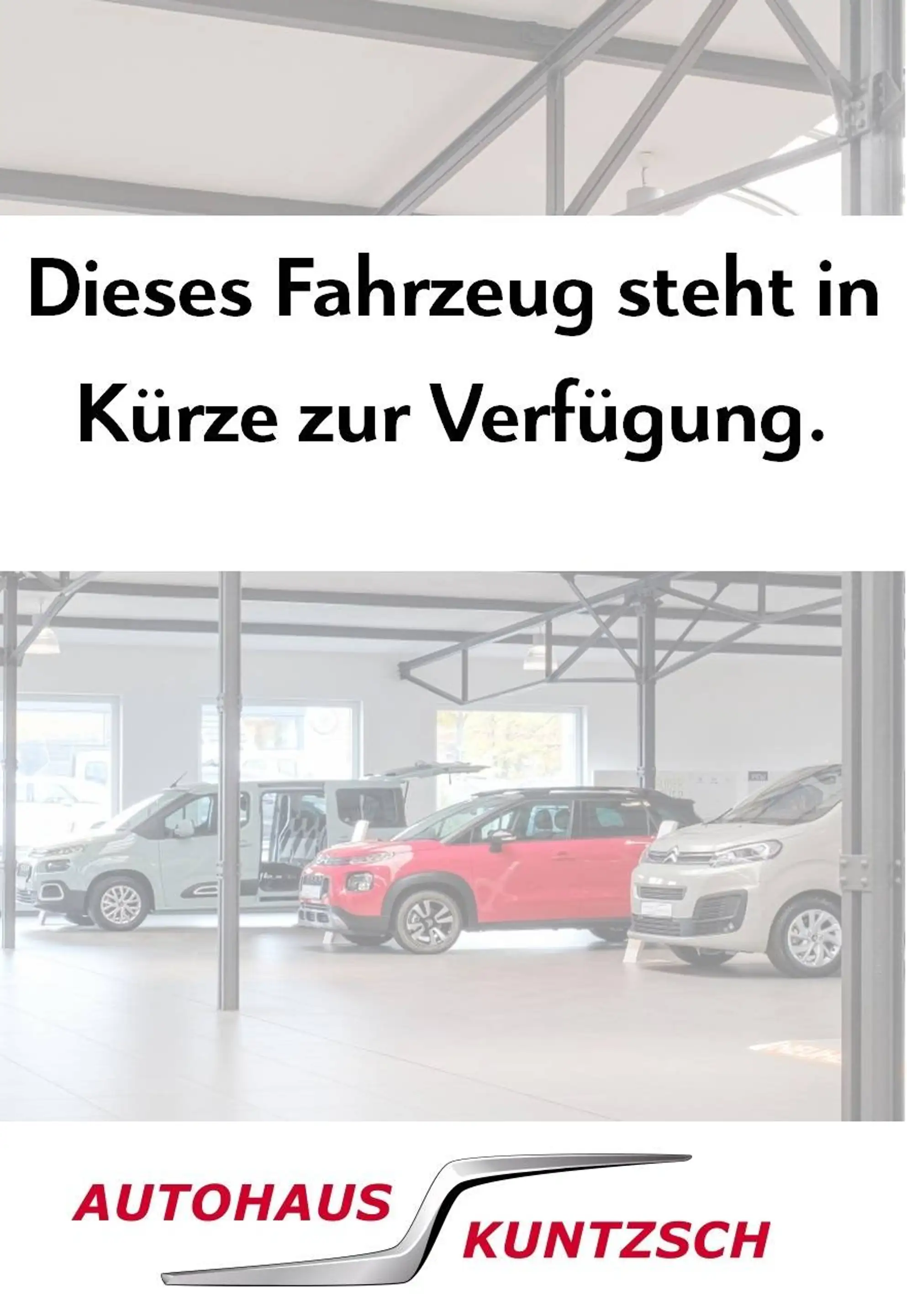 Citroen C3 Aircross C3 Aircross PureTech 110 YOU