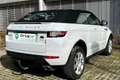 Land Rover Range Rover Evoque Range Rover Evoque 2.0 TD4 180 CV Convertibile HSE Bianco - thumbnail 5