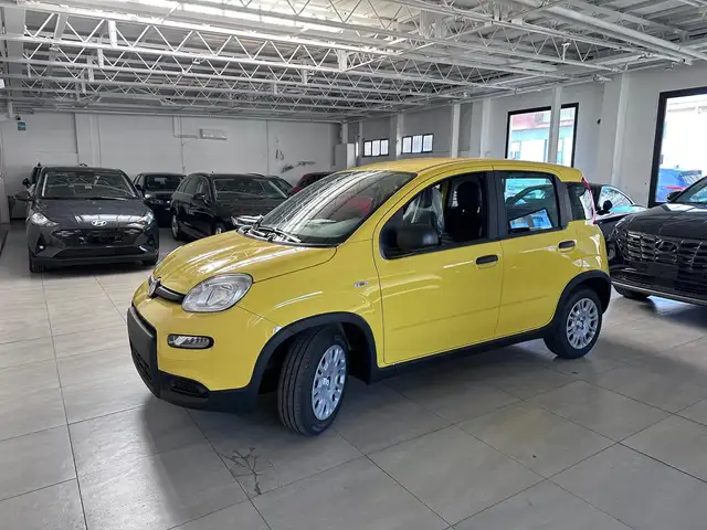 2026 Fiat Pandina in White for sale