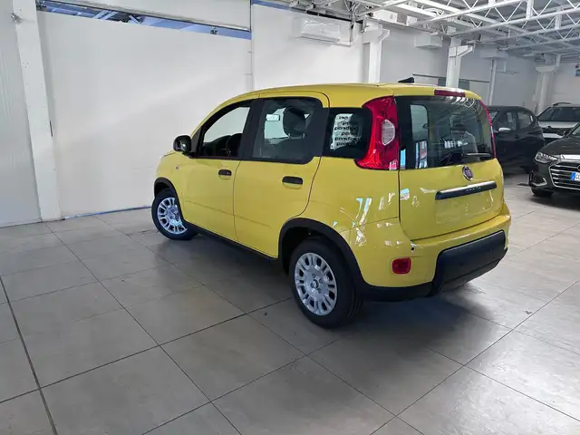 Fiat Pandina view 4
