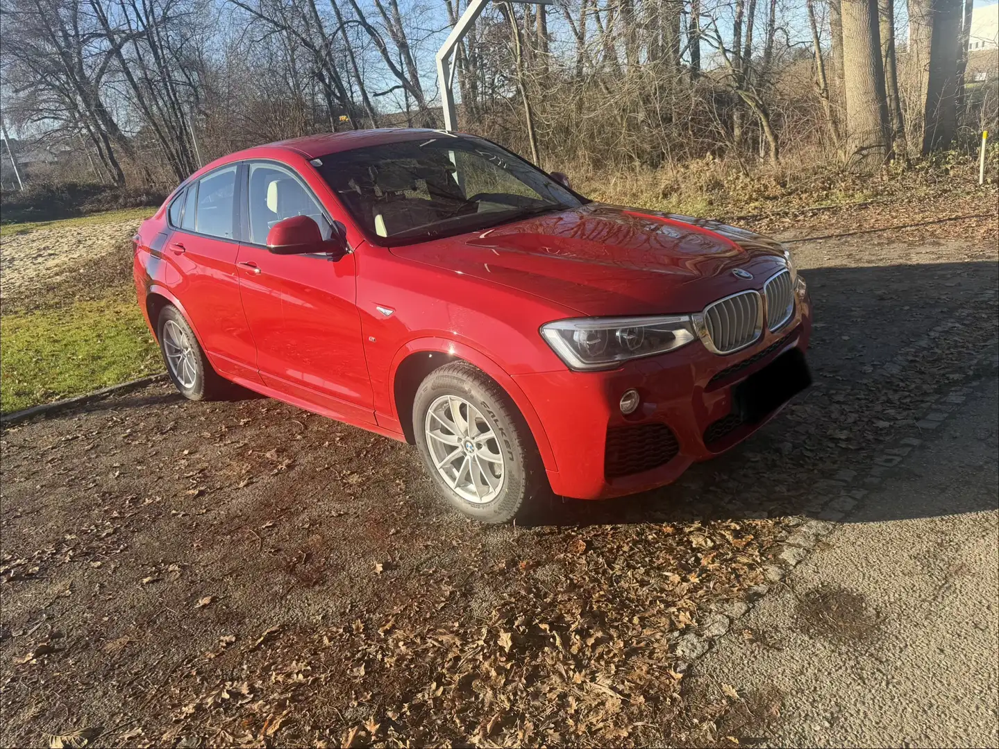 BMW X4 xDrive 30d M-Paket - 2