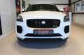 Jaguar E-Pace R-Dynamic SE P250 AWD Klima Navi Leder Weiß - thumbnail 3