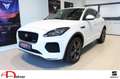 Jaguar E-Pace R-Dynamic SE P250 AWD Klima Navi Leder Weiß - thumbnail 1