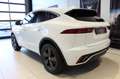 Jaguar E-Pace R-Dynamic SE P250 AWD Klima Navi Leder Weiß - thumbnail 2