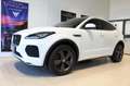 Jaguar E-Pace R-Dynamic SE P250 AWD Klima Navi Leder Weiß - thumbnail 5