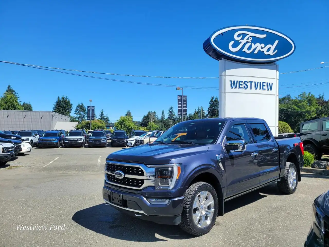 2021 Ford F 150