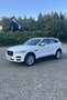 Jaguar F-Pace Portfolio AWD Weiß - thumbnail 2